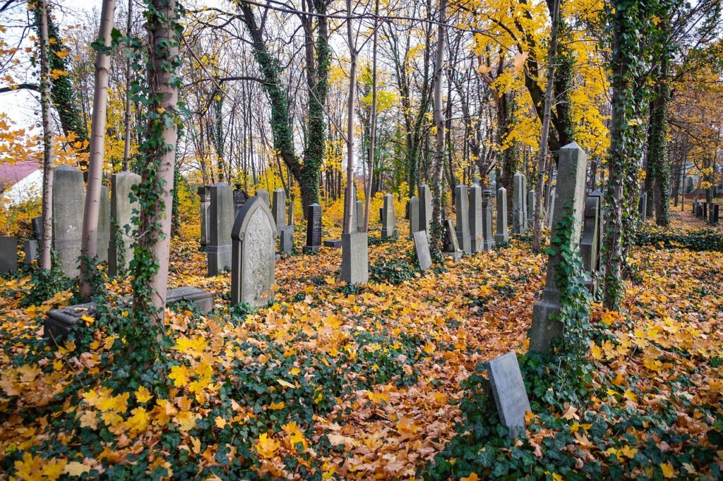 cemetery, graves, grave, bereavement, tombstone, funeral, in passing, goodbye, memory, statue, matzevah, the jewish cemetery, stone, sadness, gliwice, cemetery, bereavement, bereavement, bereavement, funeral, funeral, funeral, funeral, goodbye, goodbye, goodbye, goodbye, goodbye, gliwice